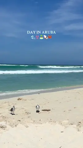 we’ve been eatin goood #aruba #vacation #travel #onehappyisland #traveling 