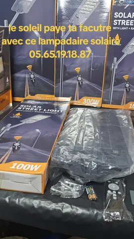 lampadaire solaire 100w à 20000f 