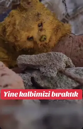Çöpte bulduğu sevimli köpeğin değişimi iyiki iyi insan var #pati #dog #cat #köpek #sokakhayvanlarınadestek 
