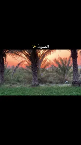 #تفاعلكم_نازل_كلش ــ😔