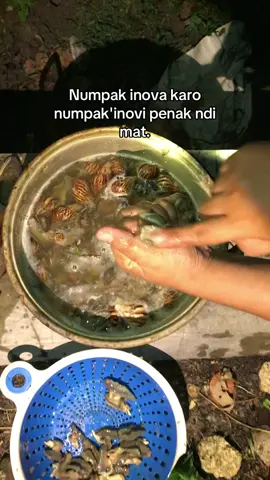 Bekicot🤤#tiktokviral #videoviral 