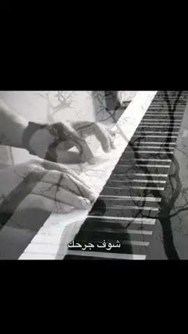 شوف جرحك#سلام_الشطري#fypシ#viral#foryou#الحظ 