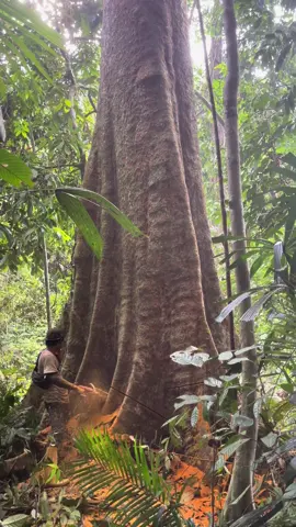 besok pagi kita lanjut, papan telampau pendek tk boleh harap #gengbalak #4upageシ #fypシ゚ 