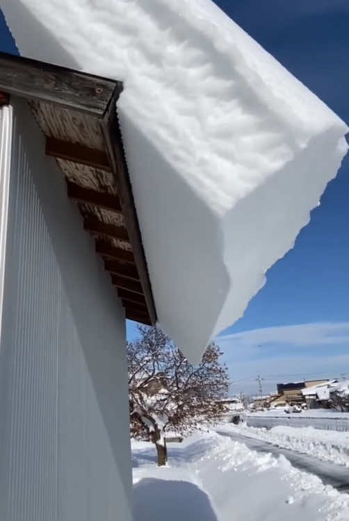 Be careful of snow on the roof #snow #satisfying #oddlysatisfying #funny #fyp #foryou #usa 