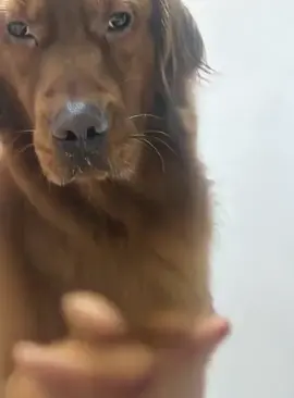 🤫🤫