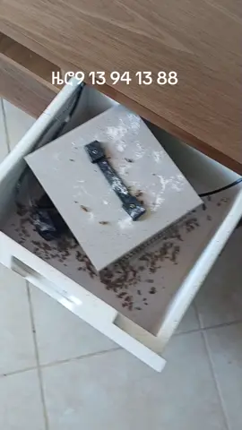 አስተማማኝ እና መለኛውን የበረሮ ማጥፊያ የምሸጠው እሙ ነኝ ✌️ ዜሮ9 13 94 13 88 ደውሉልኝ #worklife #tiktokviral #ethiopian_tik_tok🇪🇹🇪🇹🇪🇹🇪🇹 