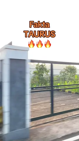 #taurus #taurus♉️ #wanitamandiri #fyp #4u 
