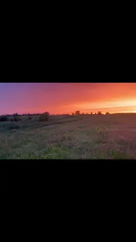 #вайб #лето #природа #монеточка #атмосфера 