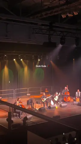 @Diyar Dersim 🫶 #diyardersim #konzert #hildesheim #viralvideo #kurdistan 
