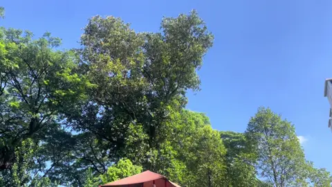 On a sunny Sunday #fyp #sunday #