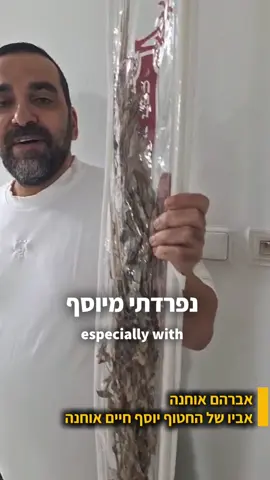 ⁨	אבי אביו של החטוף יוסף חיים אוחנה מספר על הפעם האחרונה שראה את יוסף לפני שנחטף, לפני שנתיים ❤️‍🩹 הסוכות הזה, אנחנו נושאים בליבנו תקווה אחת לראות אותם שבים הביתה, בריאים, שלמים, וחוזרים להיות שוב בינינו! #bringthemhomenow⁩