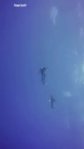 Wait for end 🫣🫣#diving #lobster #catchingfish #oceanhunter 