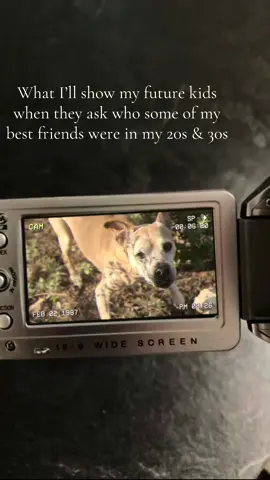 Besties ❤️ #Capcut #pitbullsoftiktok #future