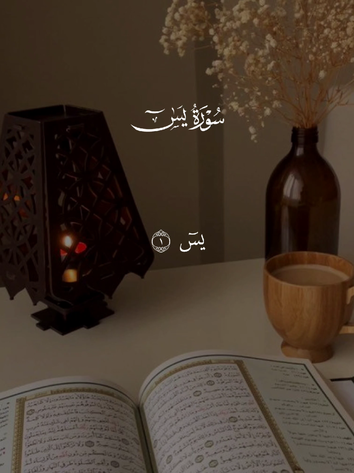 #قران #quran #قران_كريم #quran_alkarim #القران_الكريم 