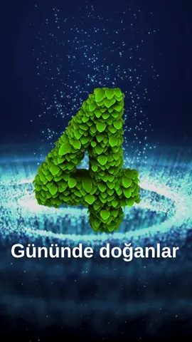numerolojiye göre ayın 4.gününde doğanların özellikleri #numeroloji #numerolojianalizi #numerology #kişiselgelişim #mutluluk 