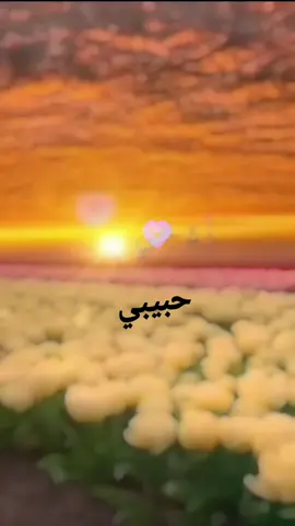 ووووووووووو®️🎶🤲🤲🥺🥺😚😚😚😚😚😚🌺🌺🌺🌺🌺🌺