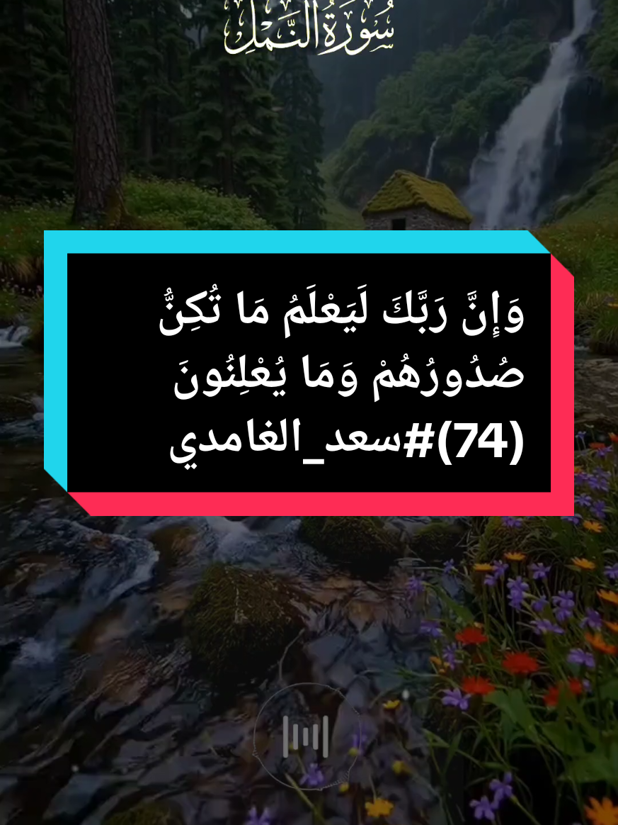 وَإِنَّ رَبَّكَ لَيَعْلَمُ مَا تُكِنُّ صُدُورُهُمْ وَمَا يُعْلِنُونَ (74)#سعد_الغامدي #سورة_النمل #القرآن_الكريم #راحه_نفسيه #قران_كريم @آطمئن @TRT Haber @وليد الشهري . 