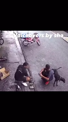 Relieve yo self: Comedy voiceovers by sha😂😂😂😂#foryou#foryoupage#dog#pet#funny