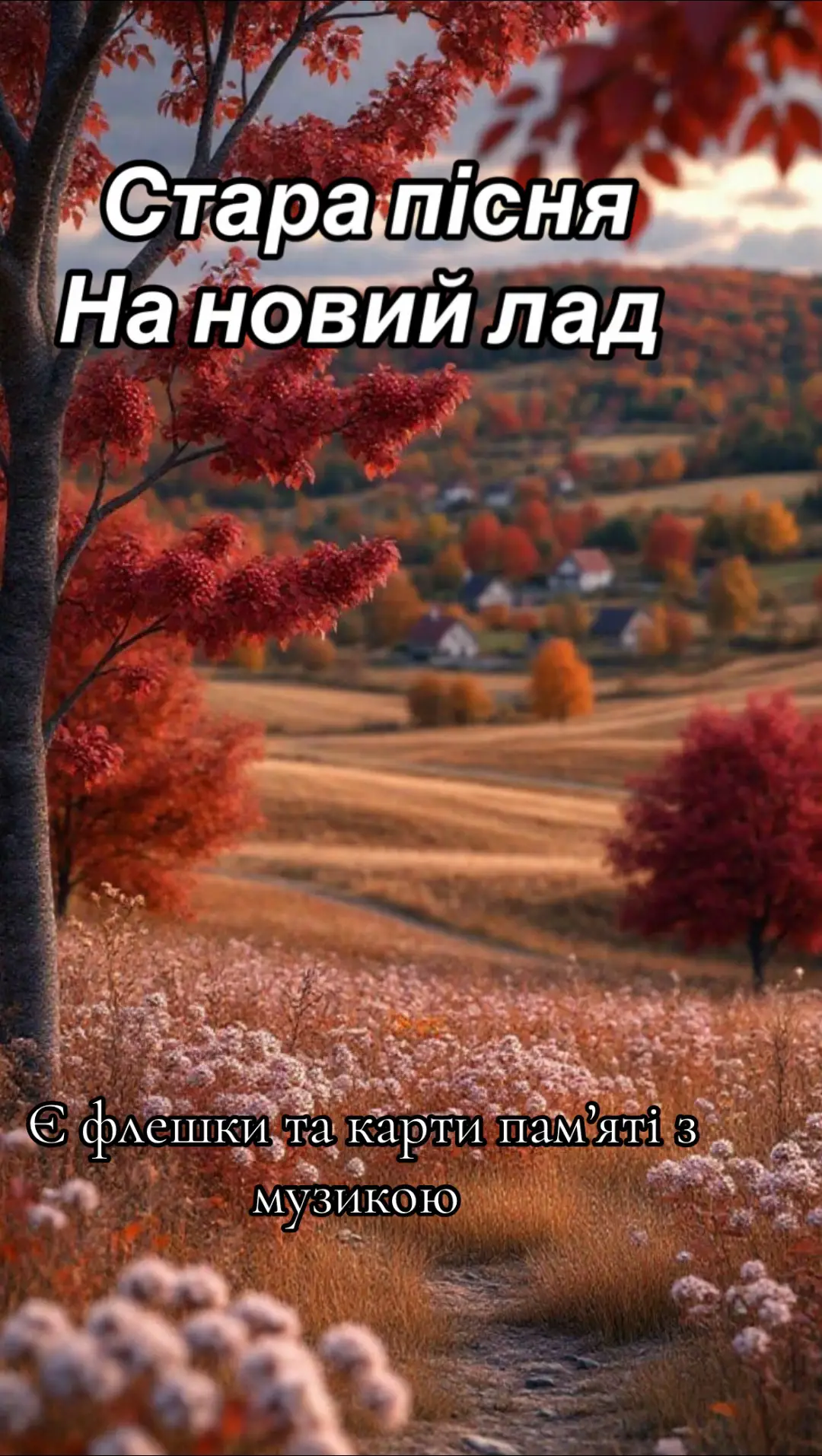 є ФЛЕШКИ та карти пам'яті з музикою 💛💙 #народніпісні  #українськіпісні  #українськівесільніпісні #музикадлядуші #рекомендації