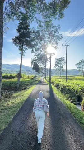 Hidden gem di Bandung, katanya sih swissnya bandung😍 #fyp #xybca #bandung #ciwidey #fyppppppppppppppppppppppp 