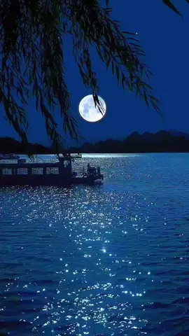 #fypシ゚ #bollywoodsong #lyricalvideo #songsthathitdifferent #viralsong 