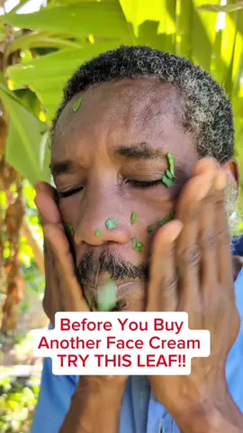 Have You Tried Leaf of Life Face Routine Before? 🌿✨ #LeafOfLife #NaturalSkinCare #ClearSkinNaturally #AcneRemedy #ClearSkinTips