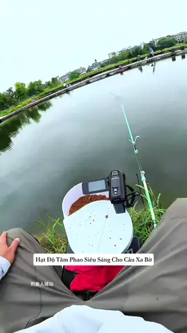 Hạt Độ Tăm Phao #fishing #docauca #cauca #câucá #phukiencauca 