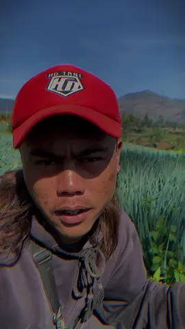 Bergetar mang jon @Acung Bergetarツ #petaniindonesia🇮🇩🇮🇩🇮🇩🌿🌿 #bawangdaun #fyp #katakata #bergetar 