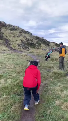 GINIKAN TRENDNYA? #fypp #tiktokviraltrending #xbcyza #anjingpintar #trend 