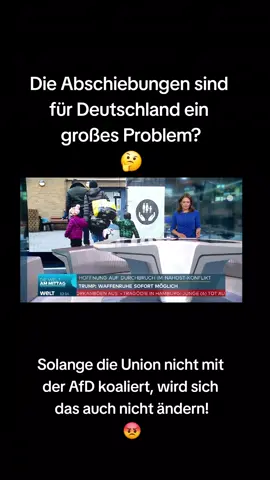 #Deutschland #Regierung #Koalition #Migration #Abschiebung #Probleme #Union #SPD #AfD 