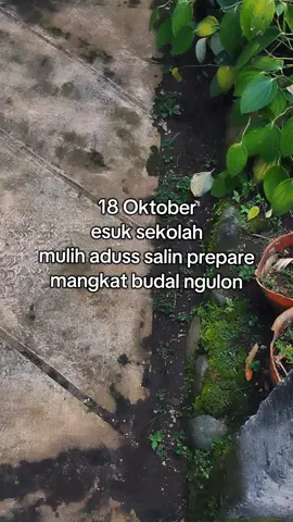 inpoo barengane boss#cbpecattegal #acaracb #glcepek #inpobarengan #cbnyenimaseeee 