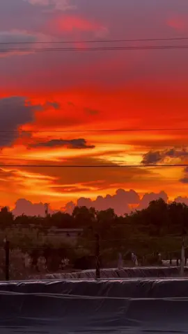 Đã một thời có nhau…! #viral #xuhuongtiktok #