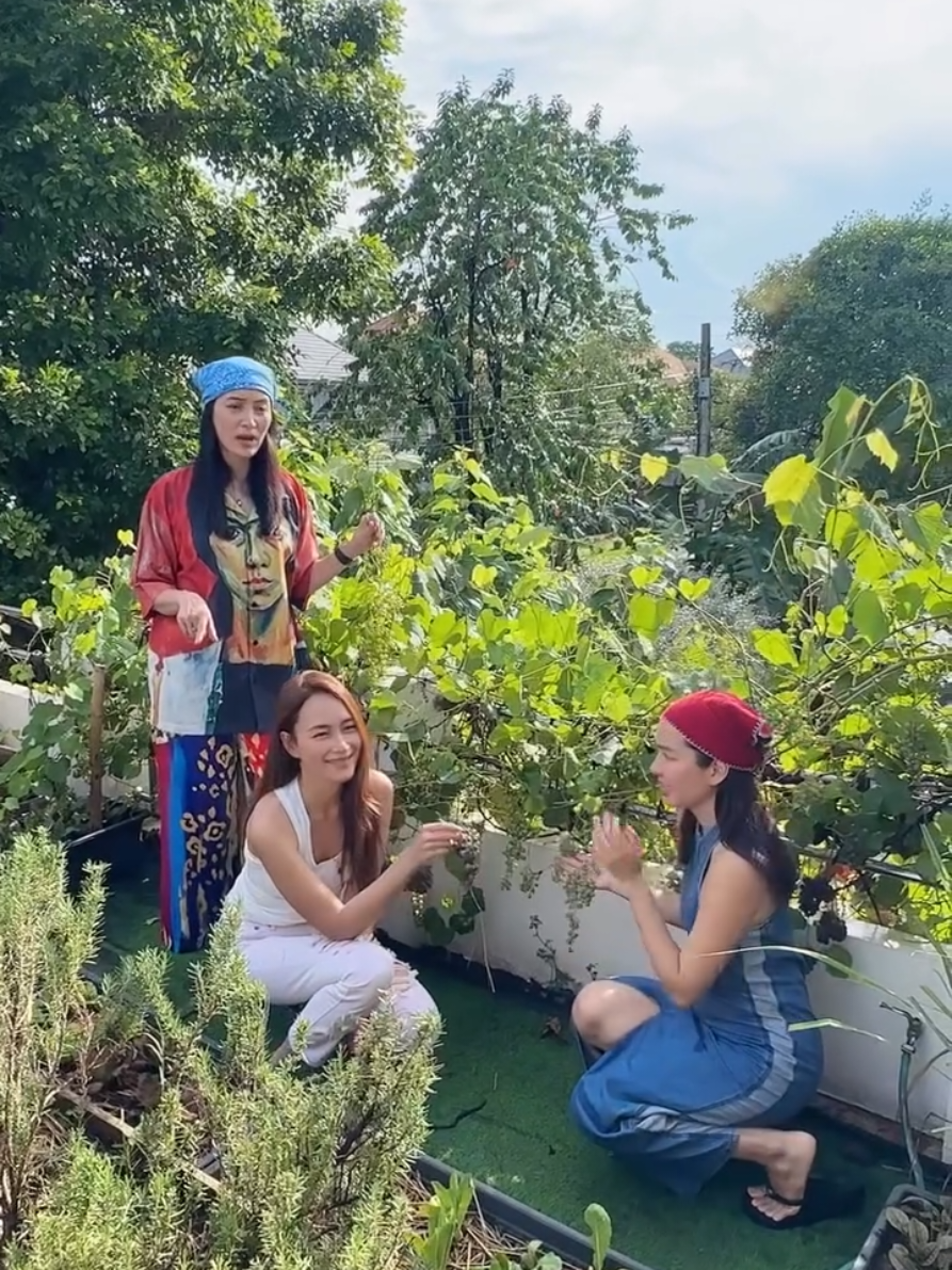 เก็บองุ่นบ้านพี่จอย 😄🍇 #beenamthip #บีน้ำทิพย์ #joy_rinlanee #organ_rasee #grapes 