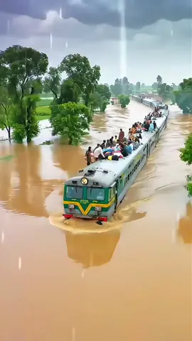 Heavy Floods 🚂 🚂 Train & Animal Trapped in Flood Water 🌊🌊 #flood #train #flooddisaster #fypシ゚ #trending #unfrezzmyaccount 