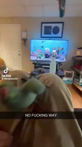 I think the parrot want a kiss and said bad word🤣🤣#fyp #meme #funny #viral 
