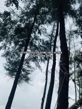 ??❤️‍🩹💫 #unfreezeaccount #dead_volcano #viral #অরু⁉️ #foryou??plzzzzzzzzzzzzzzzzzzzz @TikTok @TikTok LIVE 