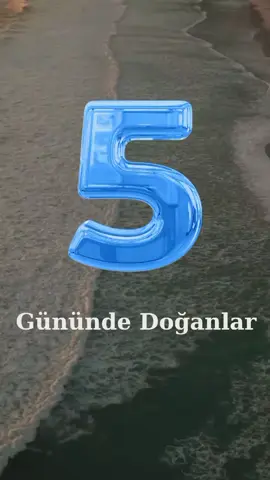 numerolojiye göre ayın 5.gününde doğanların özellikleri #kişiselgelişim #numerology #numerolojianalizi #numeroloji #yaşam 