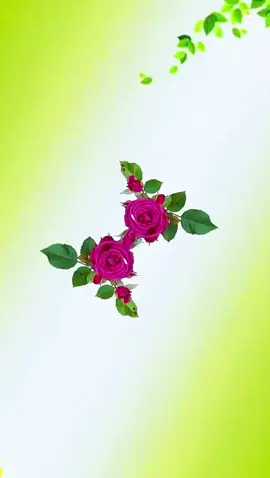 #보름달처럼#넉넉하고#따뜻한# #한가위 보내세요 #秋夕