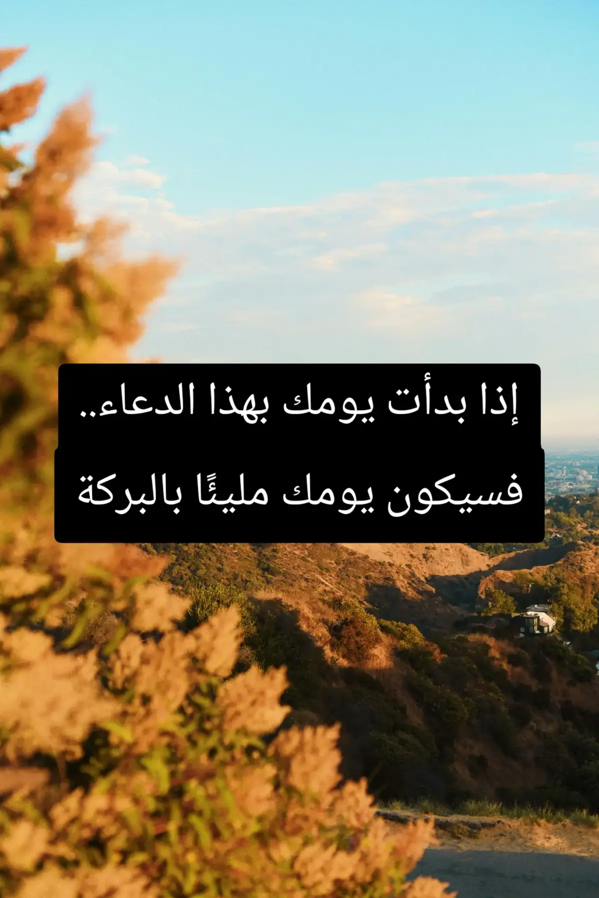 #دعاء_الصباح #أذكار_الصباح #راحة_القلب