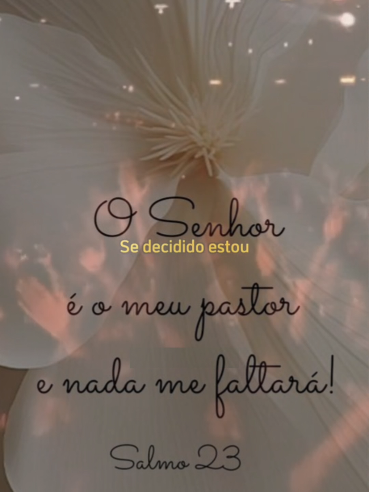 Bom dia!! #confiar #viral #fe #descansa #CapCut 