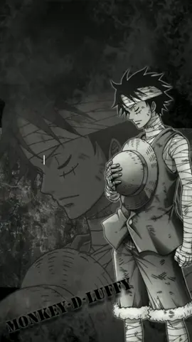 🍃🍃🍃 #storytime #onepiece #monkeydluffy #opmania #oploverz 