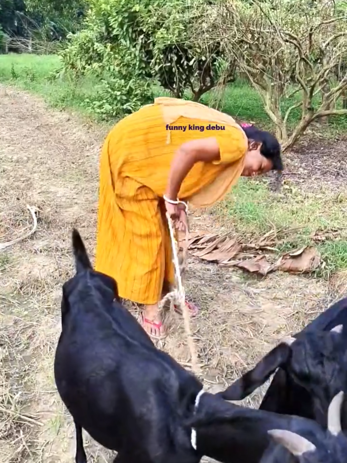 ছাগলের খুঁটি ওঠাতে গিয়ে#funmytiktok #foryoupage #lokmanbepari35 #foryoupageofficiall 