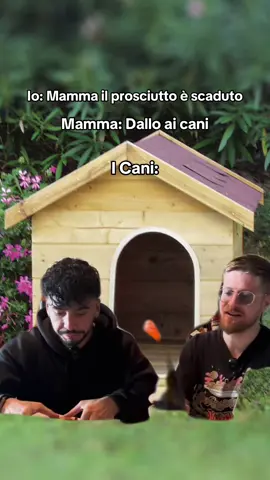 🐶🥩 #dadda #riccardodose #cibo #fyp #perte