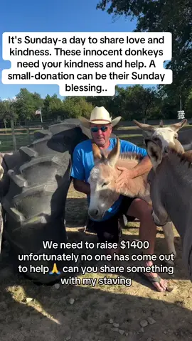 #animalrescuer #donkeysofinstagram #donkeyrescue #donkeysanctuary 