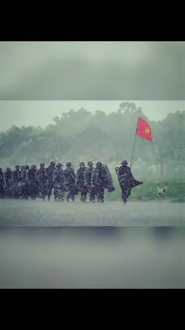 Năm bão chạy KPI, năm 2020... Bão chồng bão, lũ chồng lũ. 5 cơn bão chỉ trong tháng 10, và 13 chiến sĩ Rào Trăng… cùng hàng chục cán bộ, chiến sĩ khác, đã vĩnh viễn ở lại giữa mùa mưa năm ấy. #xuhuong #bão #bãolụtmiềntrung #lũlụt 