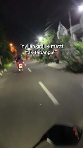 sat set mat selak rame #lamongan24jam #pohonvirallamongan 