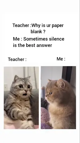 Hahaha 🤣🤣 . . . . #funnyreels #memes #foryoupage #meme #reels #tiktok #funny #viral #fy #viralpost #funnymemes #exlporepage #fyp #funnychats 