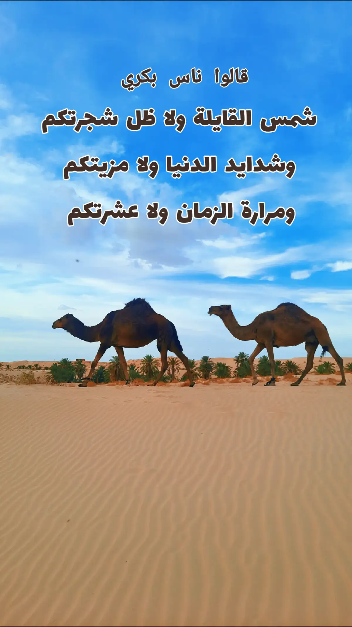 #الوادي 🤎🤎🤎🤎🤎