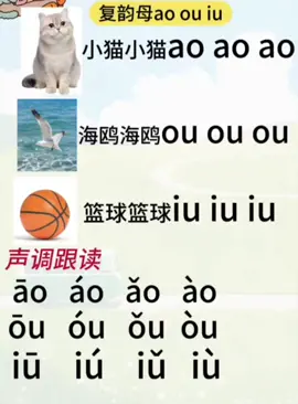 #တရုတ်စာအခြေခံတူတူလေ့လာမယ်🤗  #chinesepinyin  #learnchineseforbeginners  #selfstudychinese  #အခြေခံကို2သောင်းတည်းနဲ့လေ့လာနိုင်ပြီ 