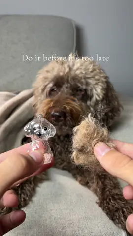 Every dog owner should have this keychain ❤️🐾 #dogowner #dog #dogmom #petloss #petmemorial 